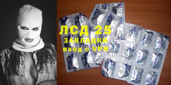ПСИЛОЦИБИНОВЫЕ ГРИБЫ Алексин