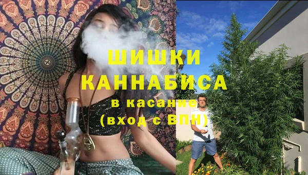 ПСИЛОЦИБИНОВЫЕ ГРИБЫ Алексин