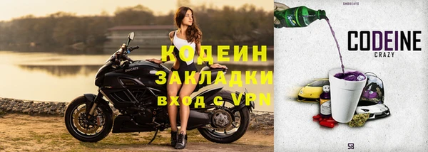 молекула духа Няндома