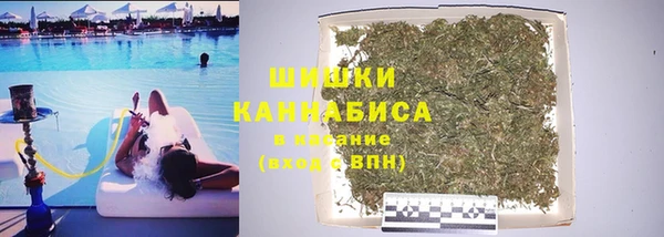 ПСИЛОЦИБИНОВЫЕ ГРИБЫ Алексин